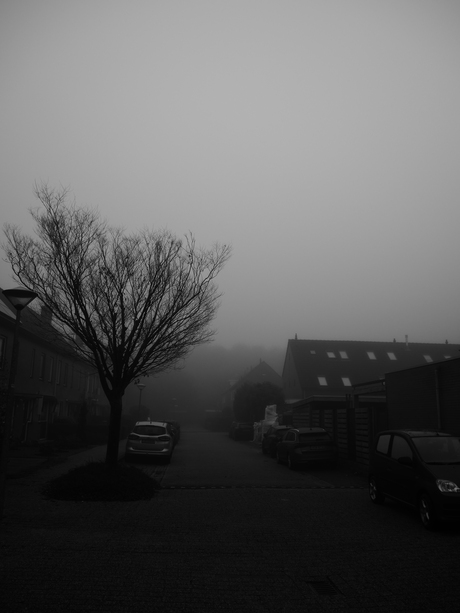 Leek zo'n gezellig straatje 