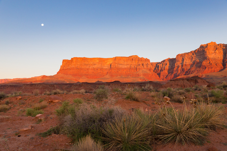 Zonsopkomst in de Arizona desert