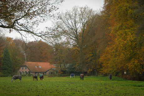 Boerenlandschap