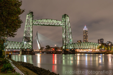 3 Rotterdamse iconen