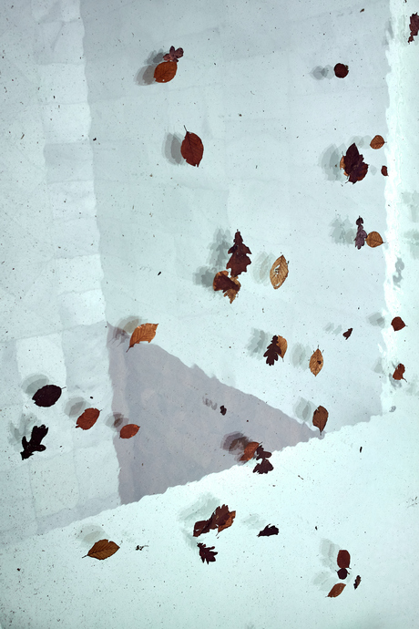 Bladeren (uit de serie "De abstracte stad")