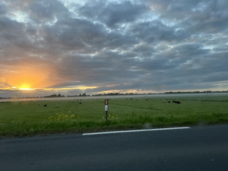 Morgenzon 