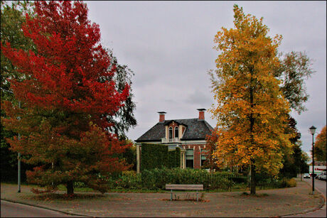 Herfst in Loppersum