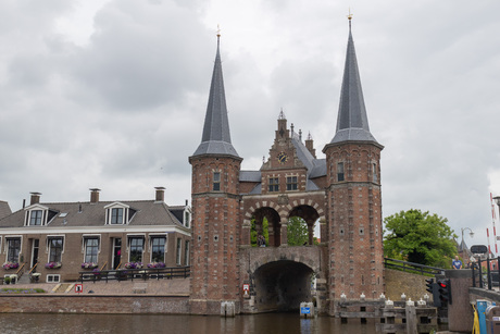 Sneek
