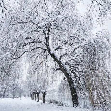 Hele fijne kerstdagen en een mooi en fotorijk 2026. 
