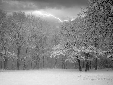 Winter