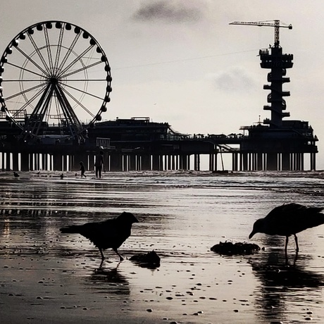 Scheveningen