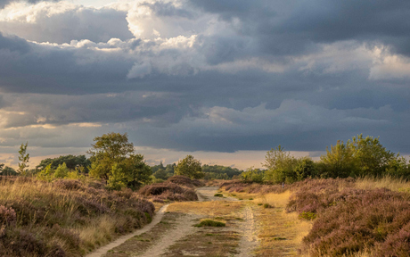 Balloërveld