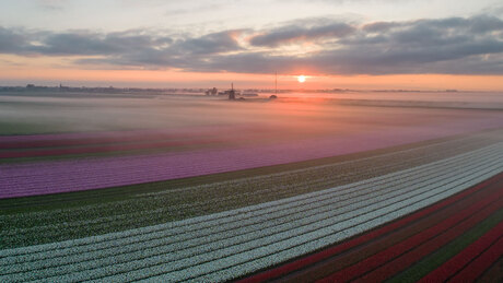 Zonsopkomst in Noord-Holland