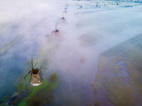 Misty windmills