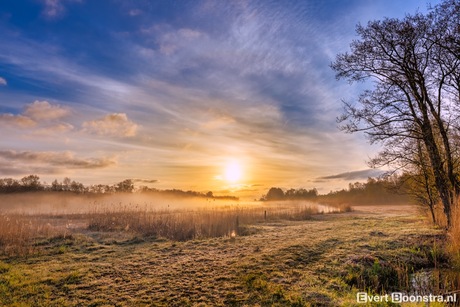 Mistige zonsopkomst in Munein (Friesland)