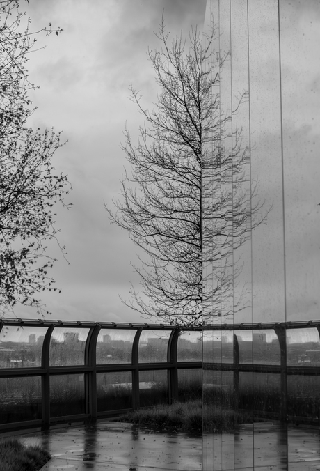 Natte dag in Rotterdam