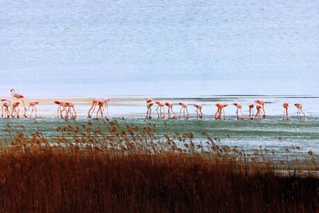 Lake Yarışlı ook  Yarışlı Gölü genoemd.