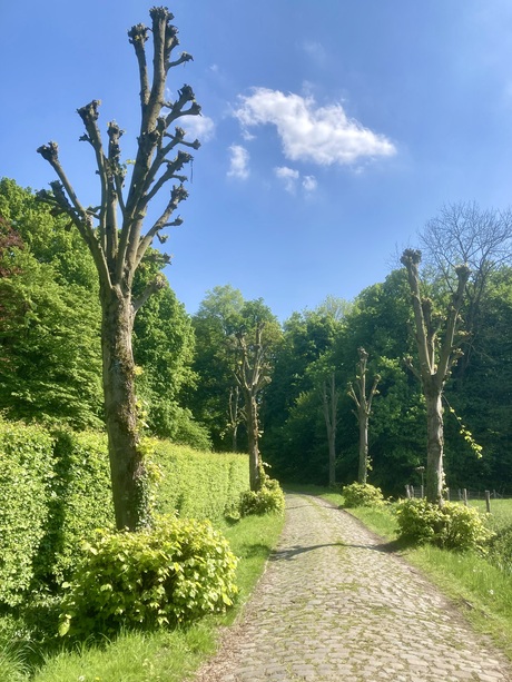 Kasseiweg