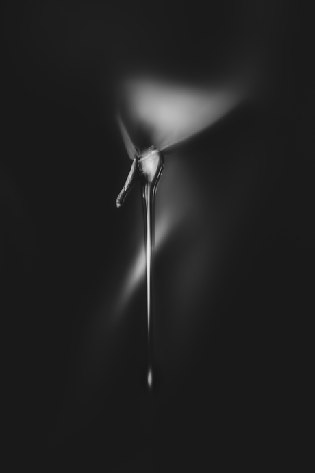 Tear of silence