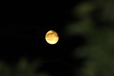 To the moon and back