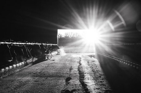 zonsopkomst door de stal