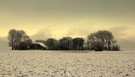 Opkomende zo, mist.................