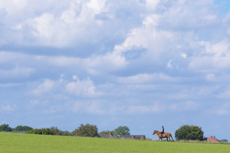 Genieten van het mooie weer.