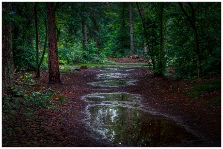 Na de regen