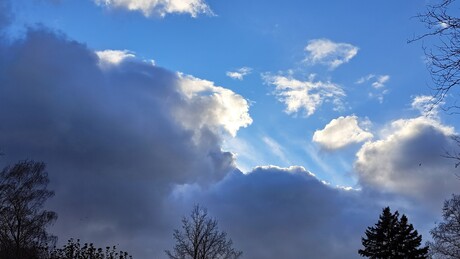 Van alles wat vandaag 