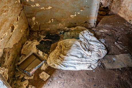 Ruínas Vivas (levende ruïnes)