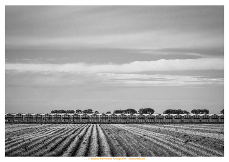 Rilland (nl)