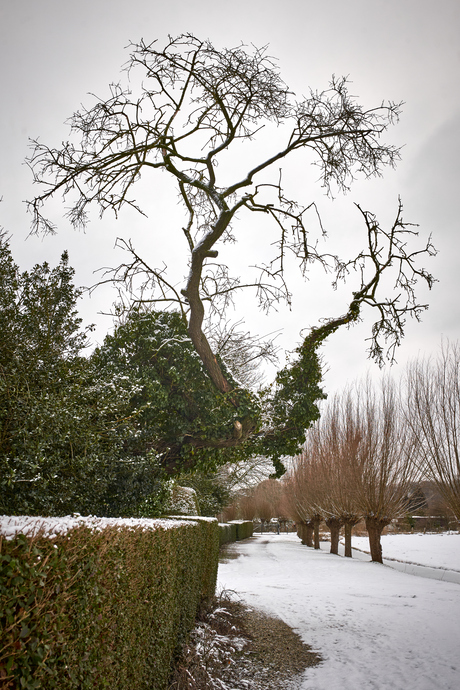 Begraafplaats Oud Zuilen