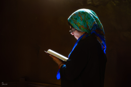 Woman reading the Bible