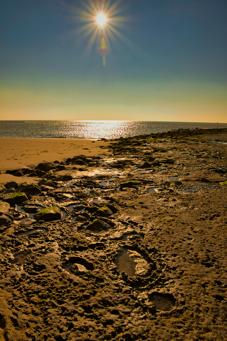 STRAND TEXEL