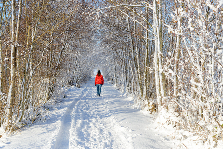 Toch nog kleur in een witte wereld