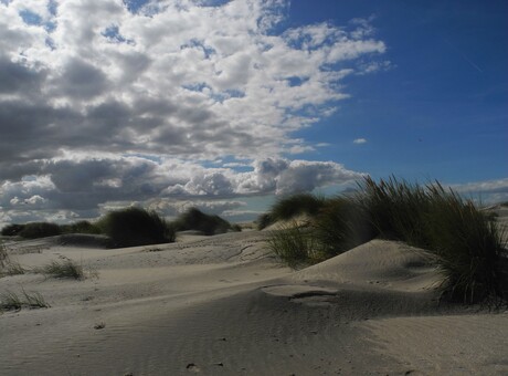 Wolkenspel Duin