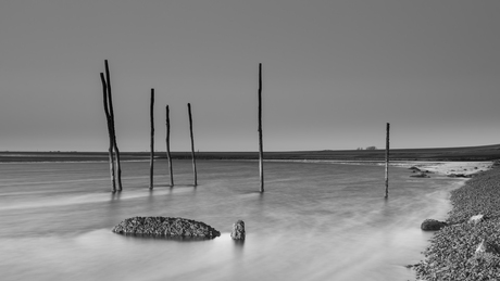 Visstokken Zurich  zwart/wit