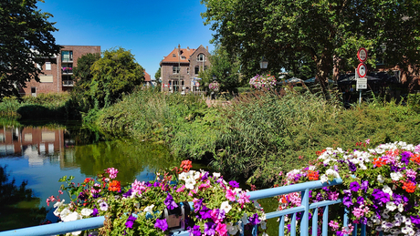 Zomers Amstelveen