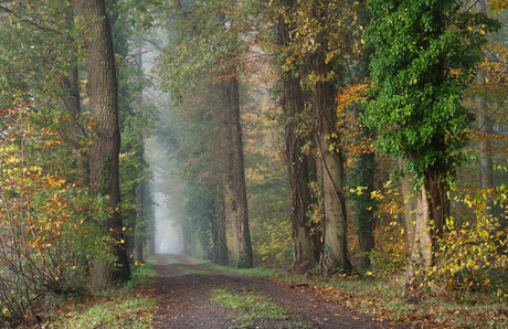 Herfstochtend