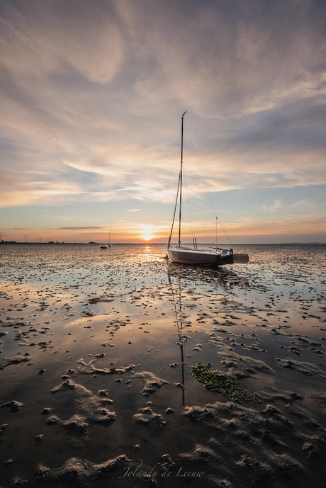 Catching the last light 