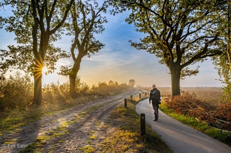 Dwingelderveld in de vroege ochtend 