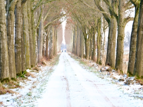 Winter in de Vennebulten