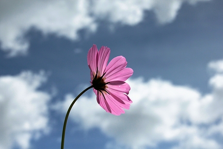 In de wolken