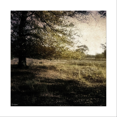 Presence III