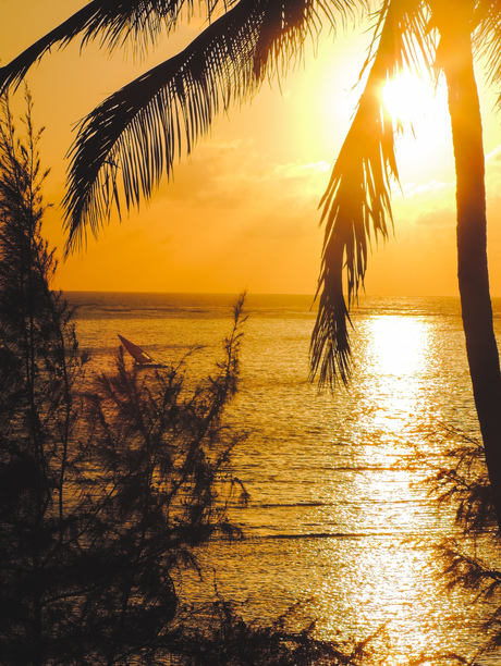 Zonsondergang Zanzibar