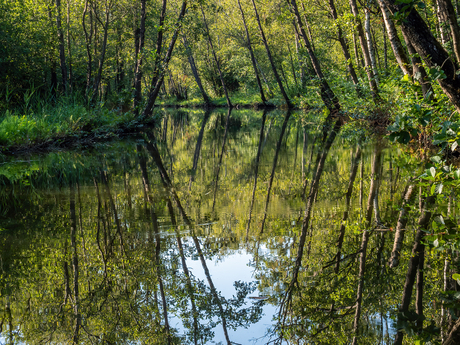 Naardermeer, Martelaarsgracht