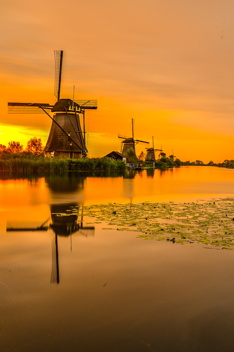 Kinderdijk