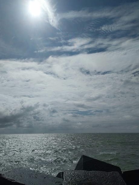 Havenhoofd