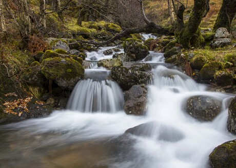 Herfst waterval