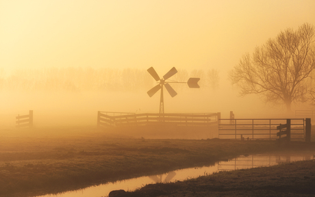 Mist en zon ik ben er gek op.