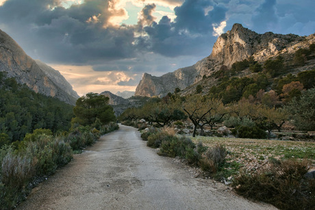 Berglandschap