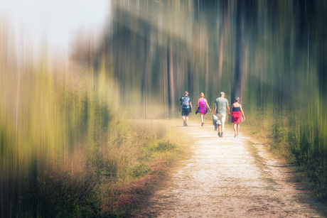 Wandelen in de zon