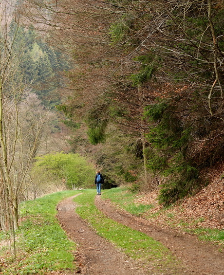 Natuur in Willingen