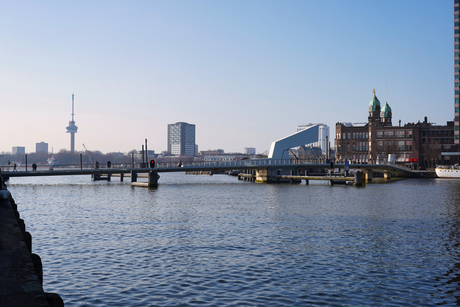Rijnhaven Rotterdam.